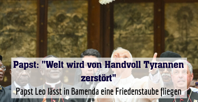 Papst Leo lässt in Bamenda eine Friedenstaube fliegen