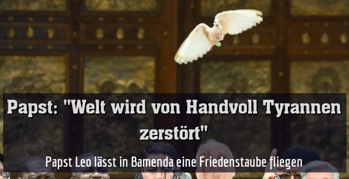 Papst Leo lässt in Bamenda eine Friedenstaube fliegen
