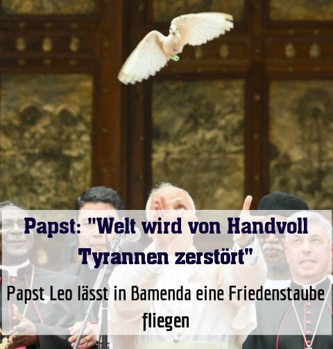 Papst Leo lässt in Bamenda eine Friedenstaube fliegen