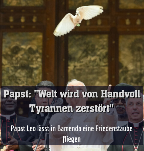 Papst Leo lässt in Bamenda eine Friedenstaube fliegen