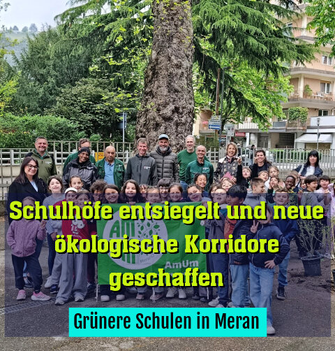 Grünere Schulen in Meran