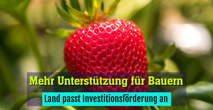 Land passt Investitionsförderung an
