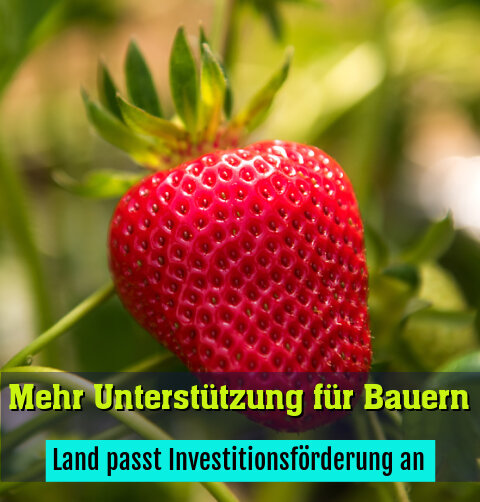 Land passt Investitionsförderung an