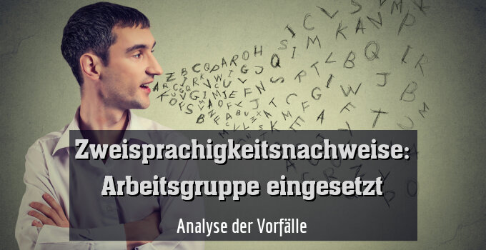 Analyse der Vorfälle