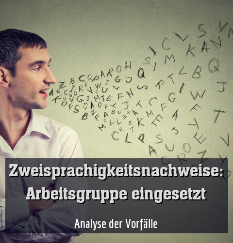 Analyse der Vorfälle