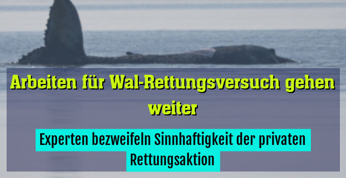 Experten bezweifeln Sinnhaftigkeit der privaten Rettungsaktion