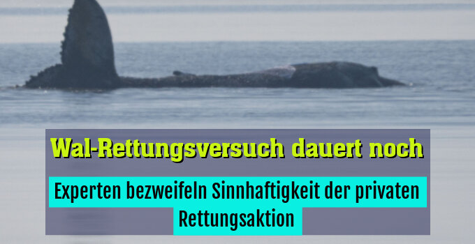 Experten bezweifeln Sinnhaftigkeit der privaten Rettungsaktion