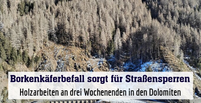 Holzarbeiten an drei Wochenenden in den Dolomiten
