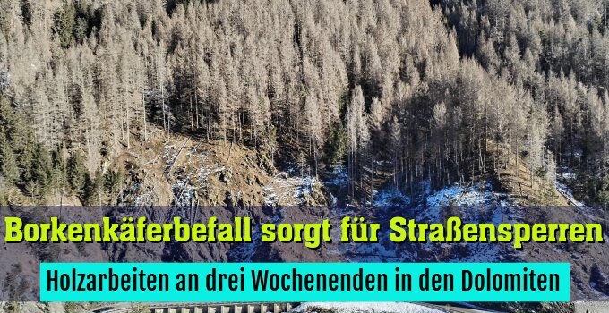 Holzarbeiten an drei Wochenenden in den Dolomiten