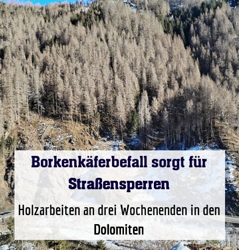 Holzarbeiten an drei Wochenenden in den Dolomiten