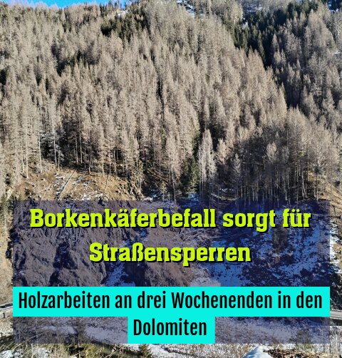 Holzarbeiten an drei Wochenenden in den Dolomiten