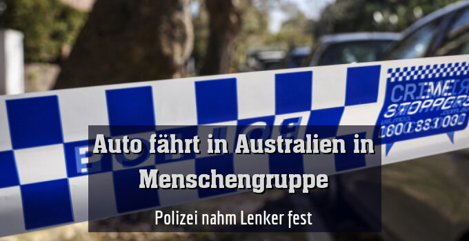 Polizei nahm Lenker fest