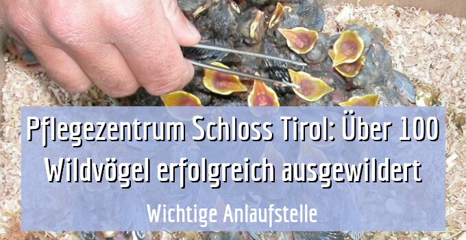 Wichtige Anlaufstelle