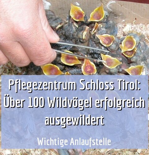 Wichtige Anlaufstelle