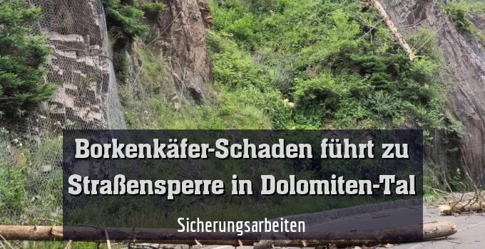 Sicherungsarbeiten