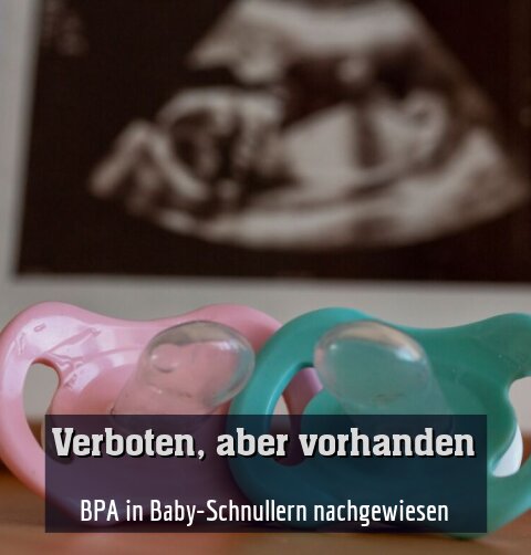 BPA in Baby-Schnullern nachgewiesen