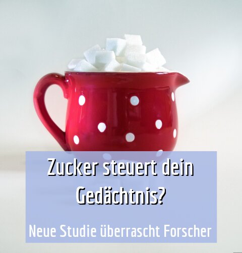 Neue Studie überrascht Forscher