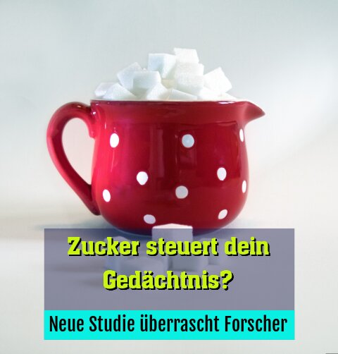 Neue Studie überrascht Forscher