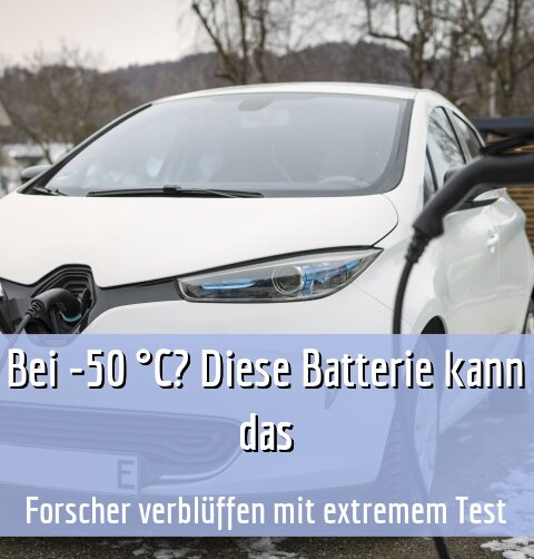 Forscher verblüffen mit extremem Test