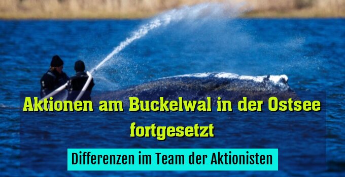 Differenzen im Team der Aktionisten