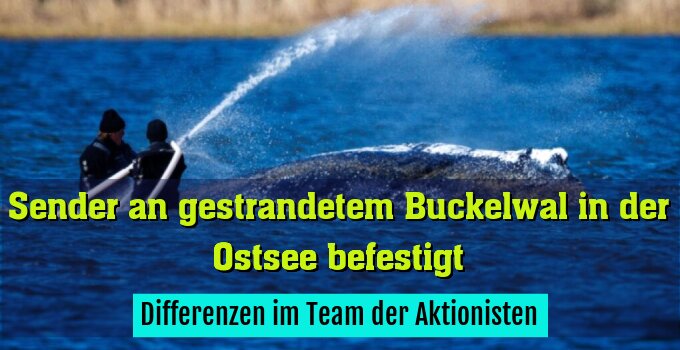 Differenzen im Team der Aktionisten