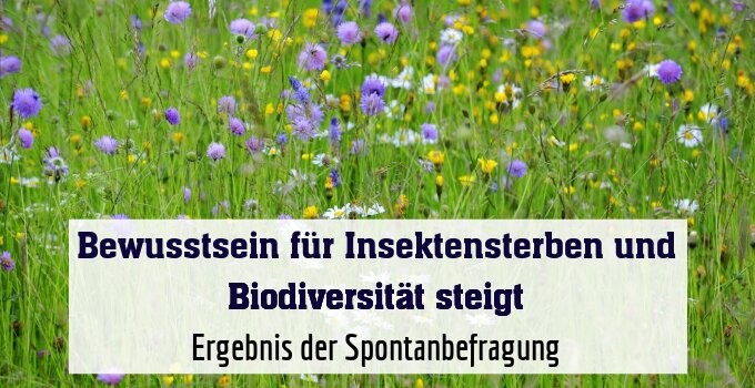 Ergebnis der Spontanbefragung