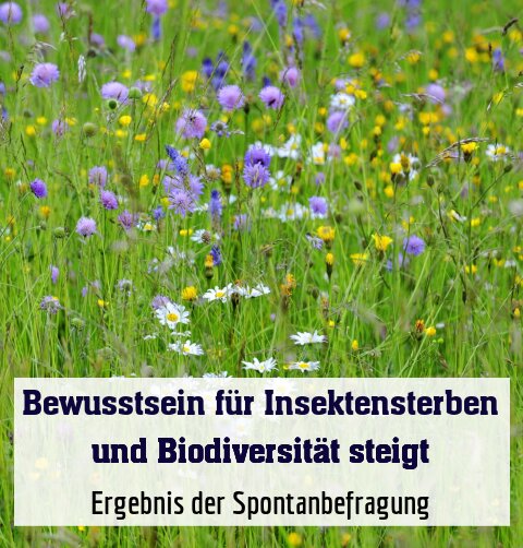 Ergebnis der Spontanbefragung