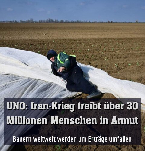 Bauern weltweit werden um Erträge umfallen