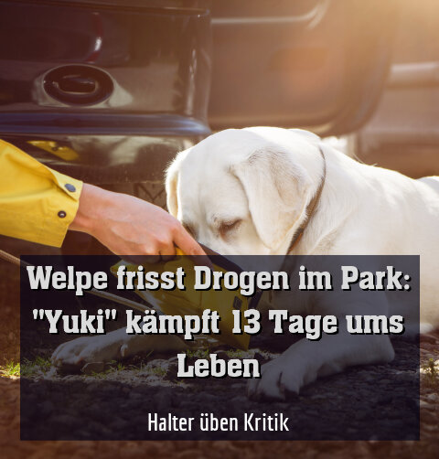 Halter üben Kritik