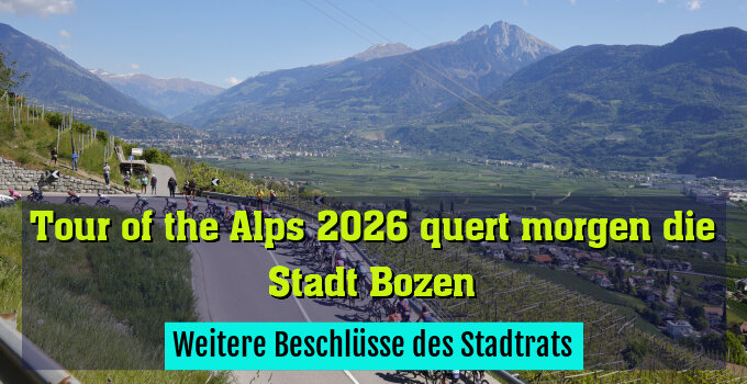 Weitere Beschlüsse des Stadtrats