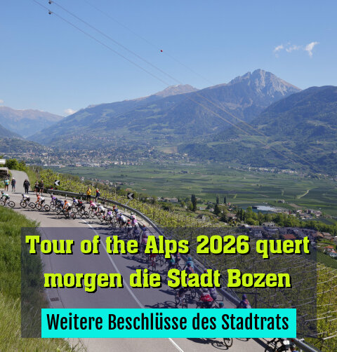 Weitere Beschlüsse des Stadtrats