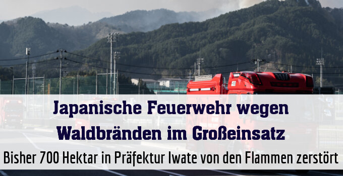 Bisher 700 Hektar in Präfektur Iwate von den Flammen zerstört