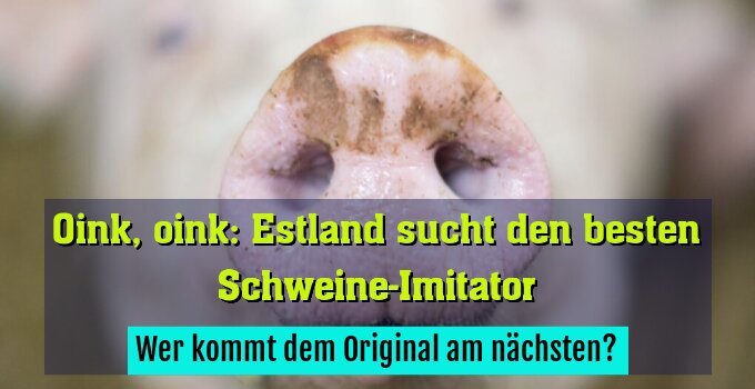 Wer kommt dem Original am nächsten?