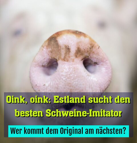 Wer kommt dem Original am nächsten?