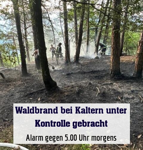 Alarm gegen 5.00 Uhr morgens