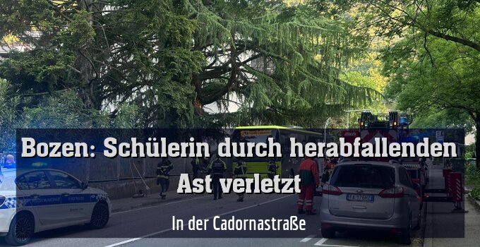 In der Cadornastraße