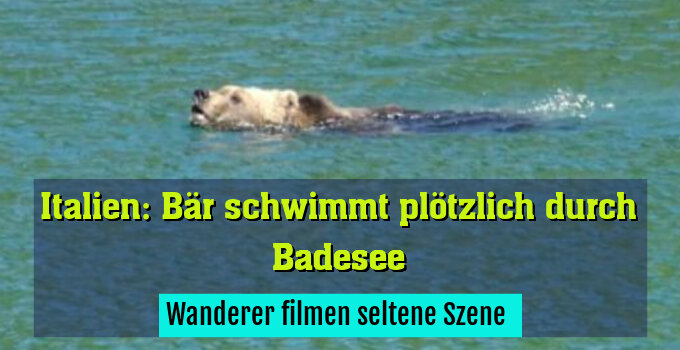 Wanderer filmen seltene Szene 