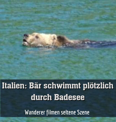 Wanderer filmen seltene Szene 