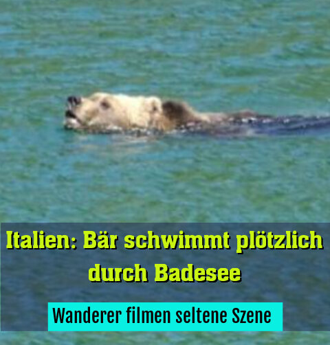 Wanderer filmen seltene Szene 