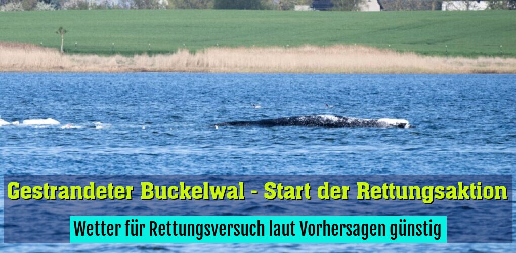 Wetter für Rettungsversuch laut Vorhersagen günstig