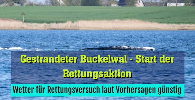 Wetter für Rettungsversuch laut Vorhersagen günstig
