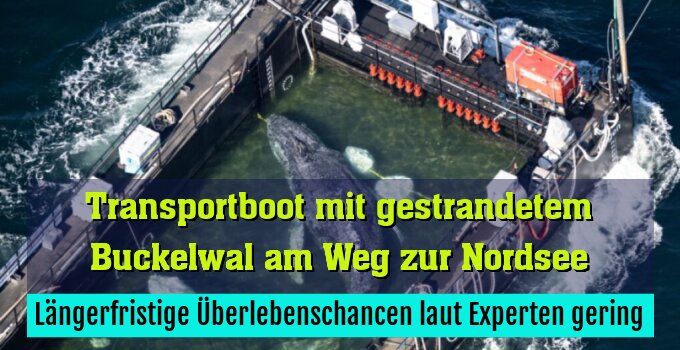 Längerfristige Überlebenschancen laut Experten gering