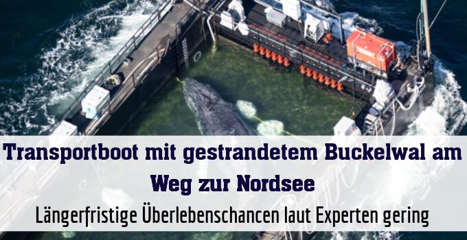 Längerfristige Überlebenschancen laut Experten gering