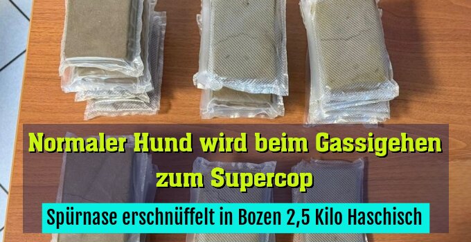 Spürnase erschnüffelt in Bozen 2,5 Kilo Haschisch