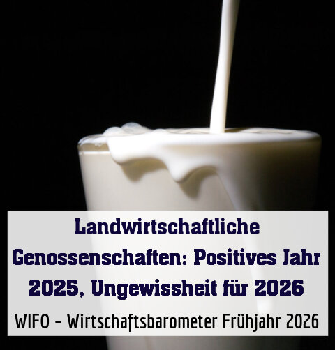 WIFO – Wirtschaftsbarometer Frühjahr 2026