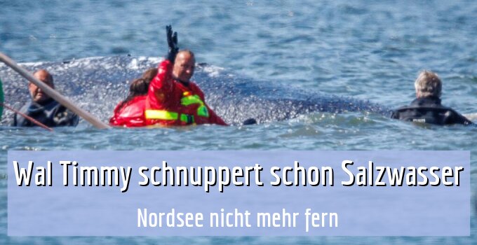 Nordsee nicht mehr fern