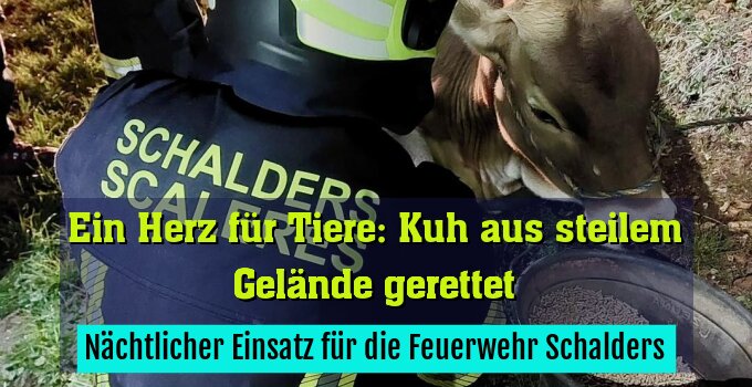 Nächtlicher Einsatz für die Feuerwehr Schalders