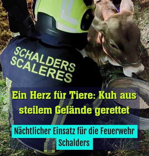 Nächtlicher Einsatz für die Feuerwehr Schalders