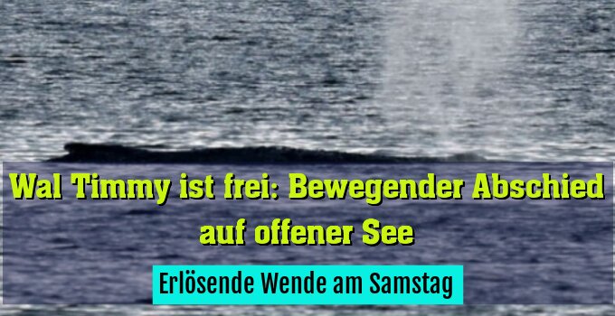 Erlösende Wende am Samstag