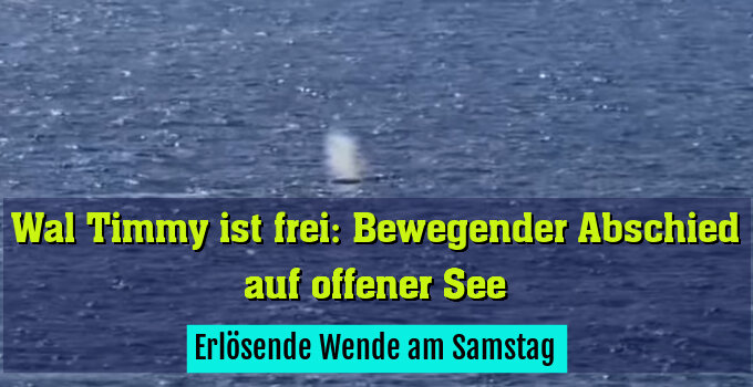 Erlösende Wende am Samstag